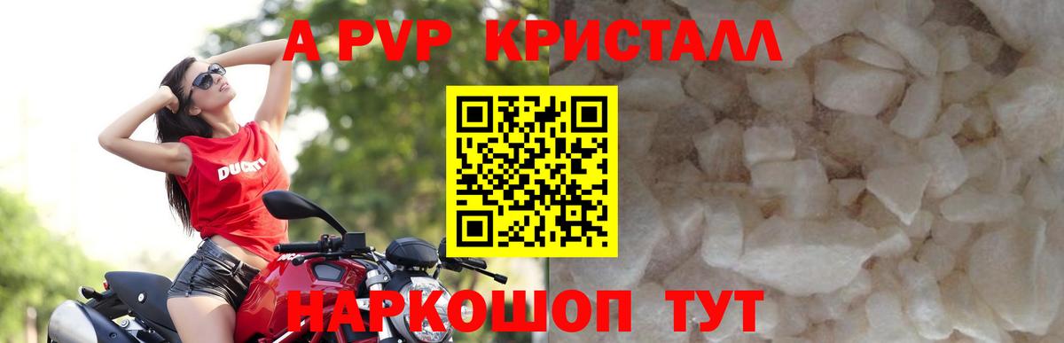 А ПВП СК Новодвинск