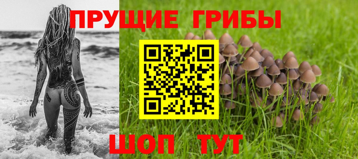 Новодвинск  Псилоцибиновые грибы GOLDEN TEACHER  Вход с VPN 